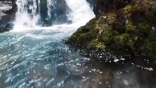 Beautiful view of nature 36
