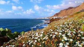 Beautiful white flowers for beautiful people