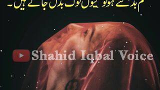 Badalty Log #shorts #youtubeshorts #febspot