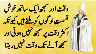 Jab Waqt Jawab Deta Hai Tab I Maulana Rumi I Life Quotes I Urdu Quotes I Rumi Aqwal I Urdu Aqwal