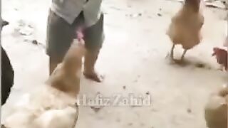 Amazing video