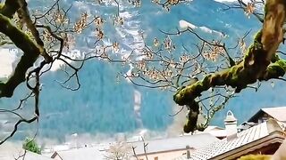 Beautiful view of nature 40