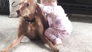 pets and kids playing funny video