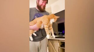 OMG So Cute | Funniest Cats And Dogs #5 ????????