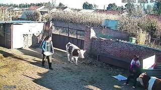Funny video
