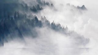 Beautiful Nature????