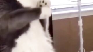 Будете всю ночь смеяться