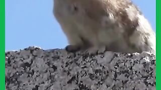 Зрелище очень красивое
