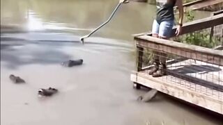Funny videos?????? 2
