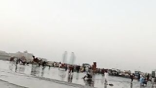 Sea port