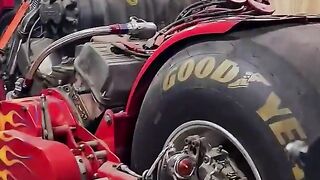 Would You Ride This Monster