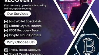 LOST\STOLEN CRYPTOCURRENCY RECOVERY: BOTNET CRYPTO RECOVERY
