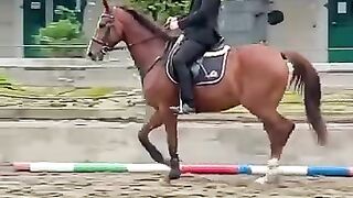 Student by horse journy .........