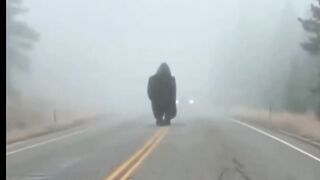 A terrifying jolt of fear 😱 At first glance