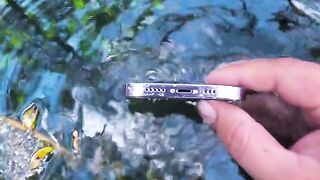 A Dirty Pond Full of Free-Swimming Baby Fish | Hidden Beauty Beneath the Water
