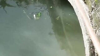Fishing video 🐟😱