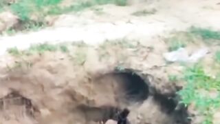 পানি পানি