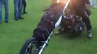 This Chopper Is Built Wild