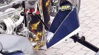 This Bird Is A Real Biker 🦜🔥