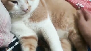 langsung ngantuk gini wkwkwk