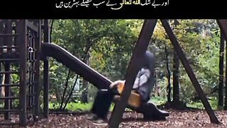 Trusting Allah’s Decisions