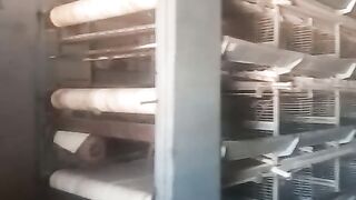 Manure collection system
