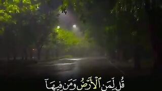 Islamia content