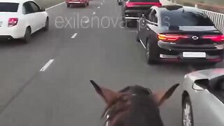 Рашки и бензин