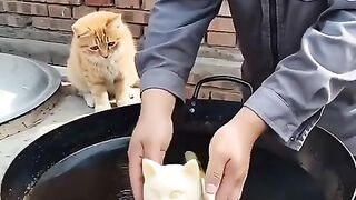 #funny #whowillbemylifepartnerta.mp4