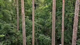 🌳🏡 I Built an Amazing House Between Many Trees! 😱