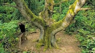 🌳🏡 I Built a Beautiful House on a Huge Tree! 😱