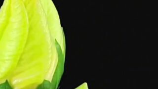 Beautiful nature 351