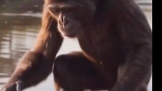 LA HONTE DU SIECLE (Conte africain) #conte #morale
