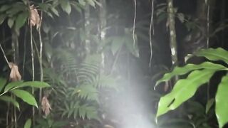 ​What Lurks in the Dark: Night Herping Encounter 🔦🐍