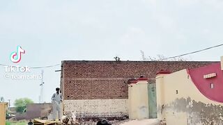 Funny Video 553