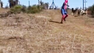Spiderman 24
