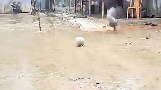 No crazy dance 😭 just funny 😂 "😂" #fyp #viral #dance # #trending  @Funny 😂 2