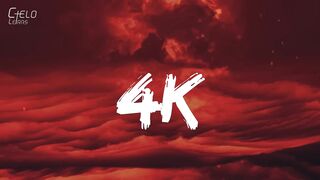 El Alfa - 4K (Letra/Lyrics) | 4K Computer Monitor | 4K resolution | Car | Sexy | Woman | Novel
