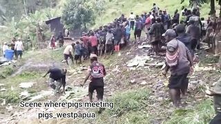 Dick Head Man from West Papua_pig meet pig