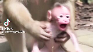 New video 282