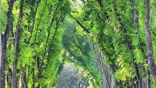 Attractive view kapaisa,Gazipur