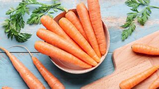 Wortel. Carrot. 胡萝卜. 紅蘿蔔. 紅蘿蔔. ニンジン. Морковь. Морква. Karotte. Zanahoria