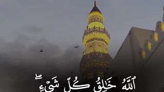 Quran paak Tilawat must watch 9