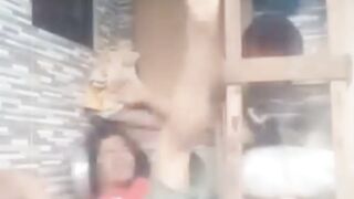 Maen tendang aja