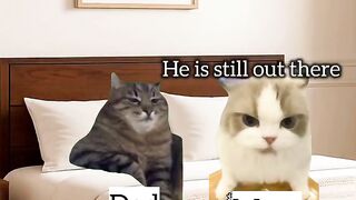 Cat memes 🐈 When Mom calls you vs Dad