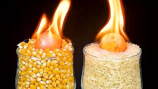 1000°C vs Corn + Rice