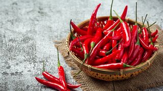 Cabai. Chilli. 辣椒. 칠리. チリ. Чили. Чилі. Chile. Peperoncino. Piment. Chilipeper