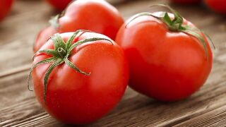 Tomat. Tomato. 番茄. 토마토. トマト. Помідор. Помидор. Tomate. Pomodoro. Tomaat