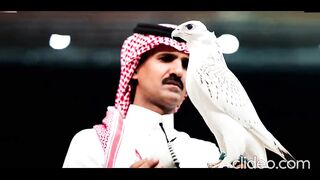 Saudi Arabia Auction of rare bird causes panic