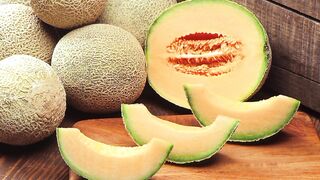Melon. 瓜. メロン. 멜론. Дыня. Диня. Melone. Melón. Meloen